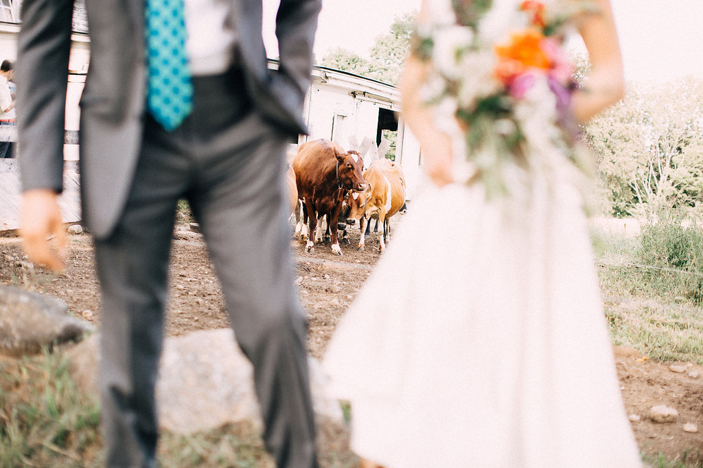 massachusetts-farm-wedding (35)