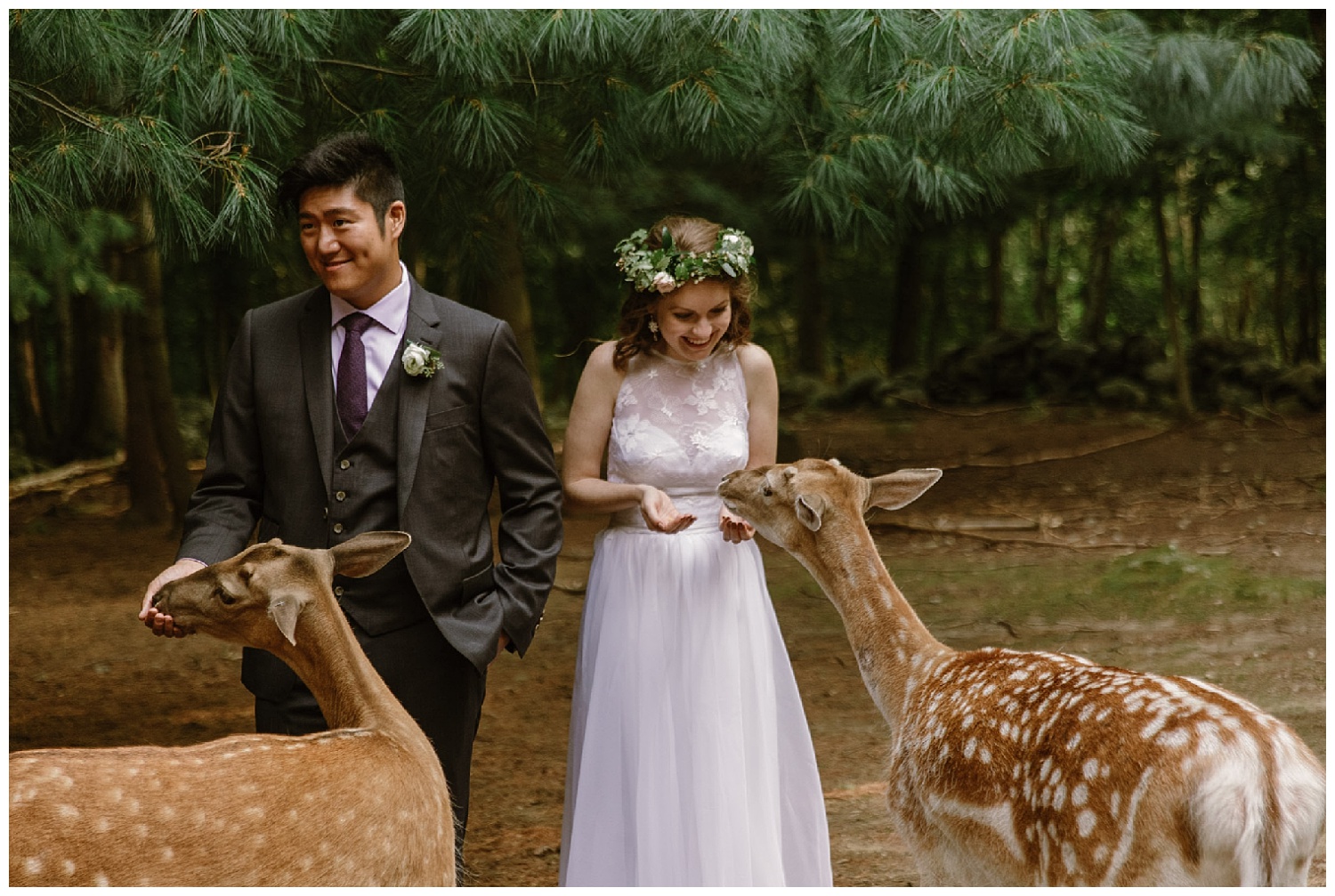 Intimate Massachusetts wedding at southwick's zoo