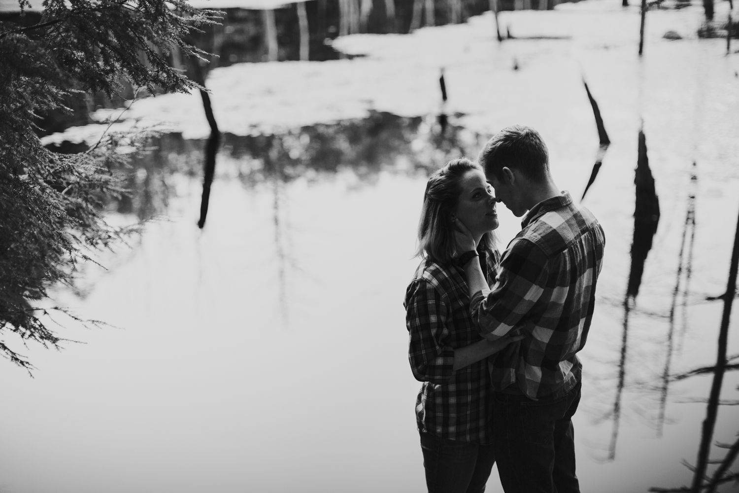 new_england_forest_engagement (29)