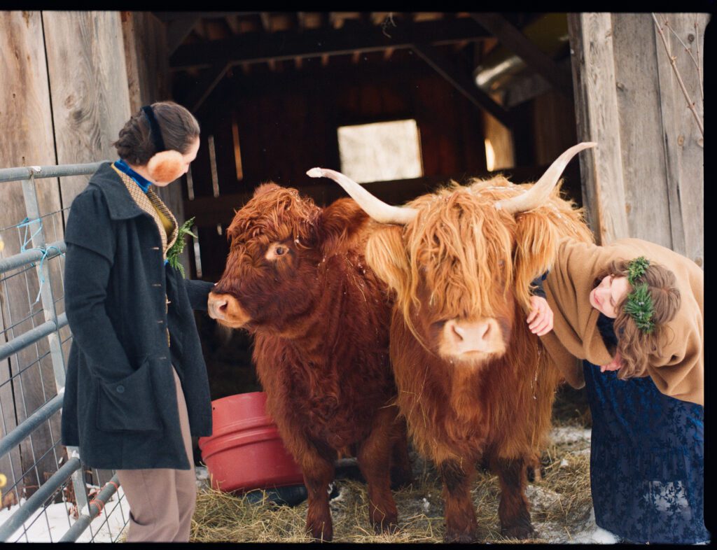 a couple pets some cows on their wedding day at a private estate in the Catskills